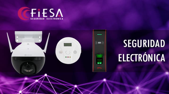 Seguridad electrónica